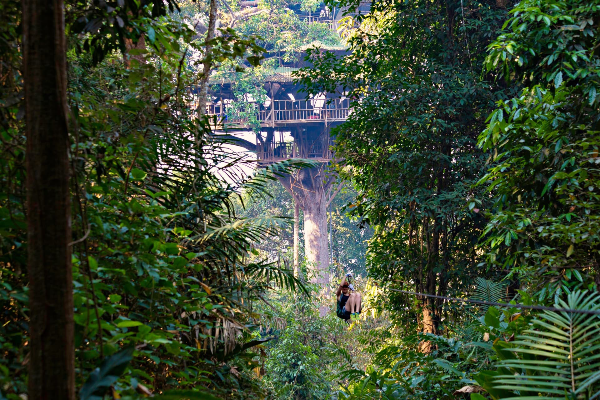 Gibbon Experience