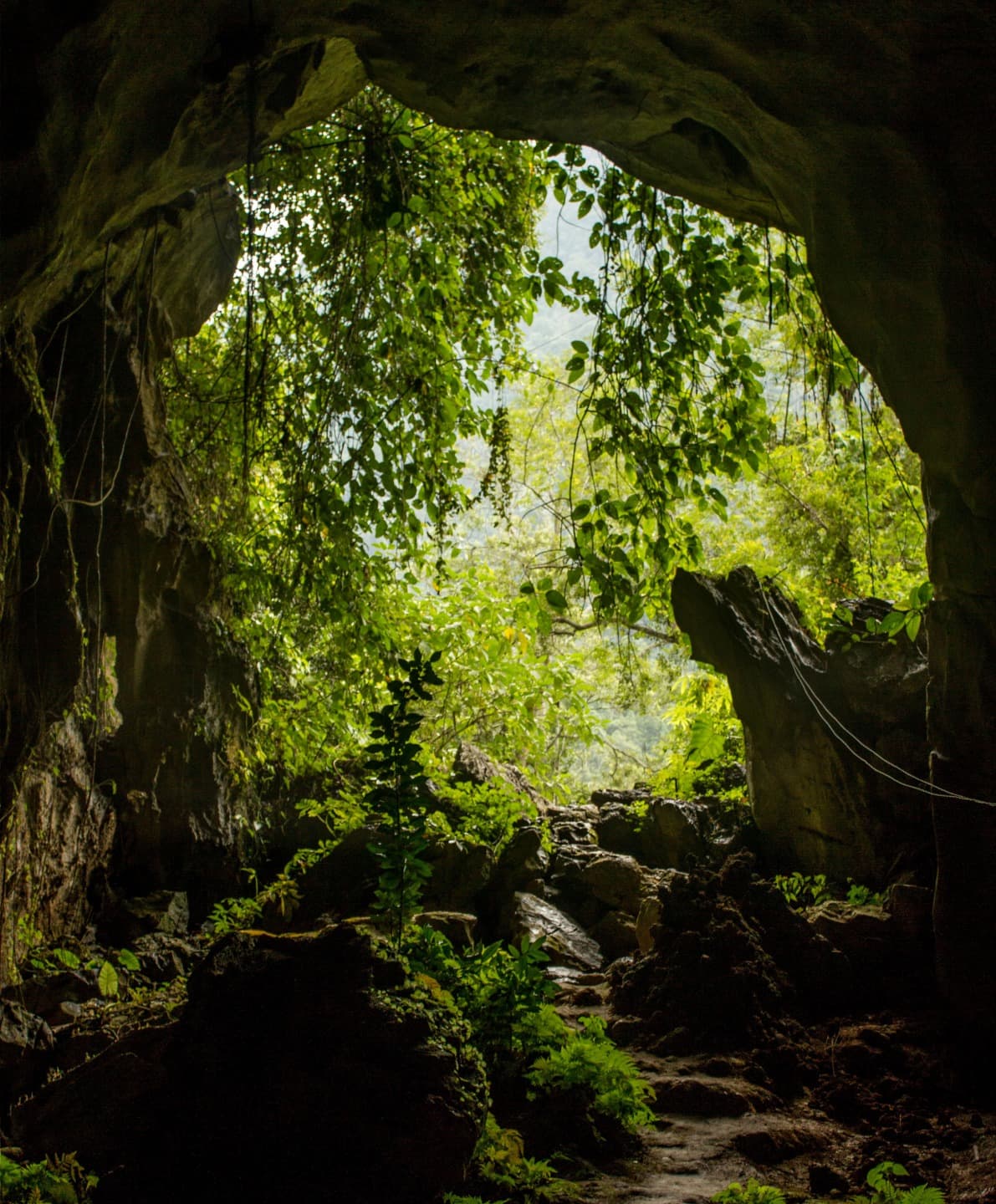 Tham Kang Caves